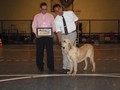 Matriz - Fila Brasileiro Dourado - Canil Singular - Gipsy